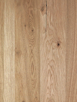 262v - STEJAR ALPIN SALBATIC